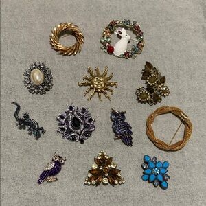 12 pc Assorted Brooch Lot